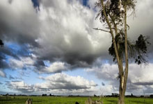 [天下足球]格雷罗世界波 拜仁主场击败科隆.