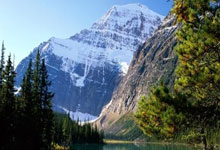 [澳网]猛虎难破魔咒 “鸡丝”不是配菜.