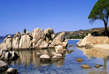 壹号娱乐：[图]亚冠精英联赛-路易斯失良机 申花0-1不敌横滨.